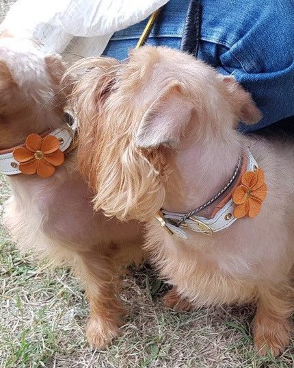 The "Flower" handmade puppy collar